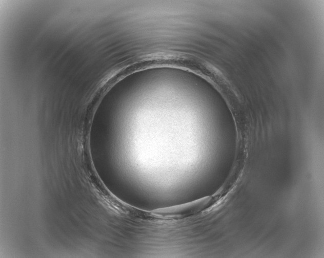 X0000066121017200603131322