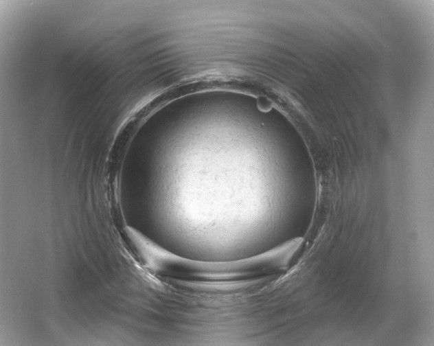 X0000066121018200603131322