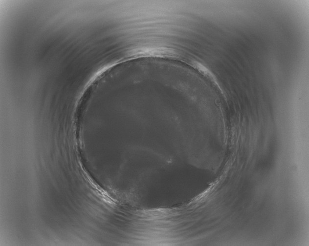 X0000066121019200603131322