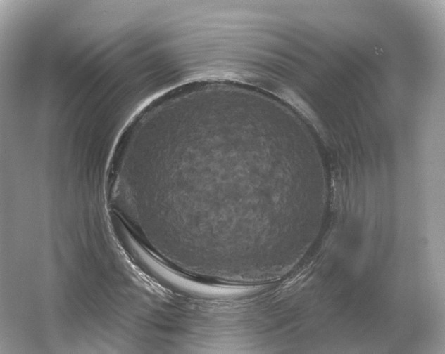 X0000066121020200603131322