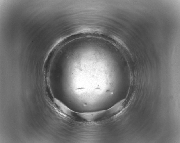 X0000066121021200603131322