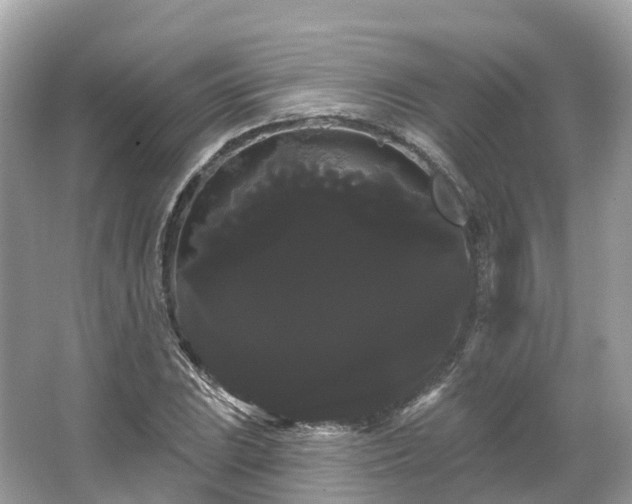 X0000066121023200603131323