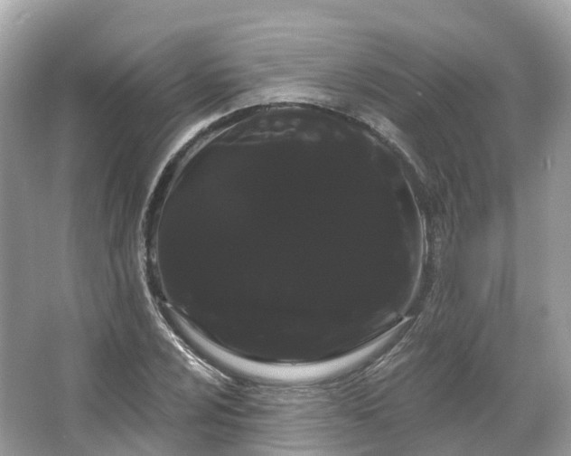 X0000066121024200603131323