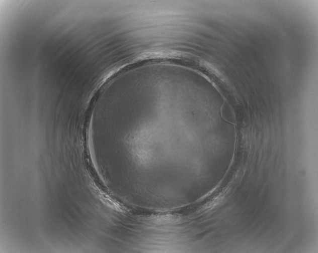 X0000066121025200603131323