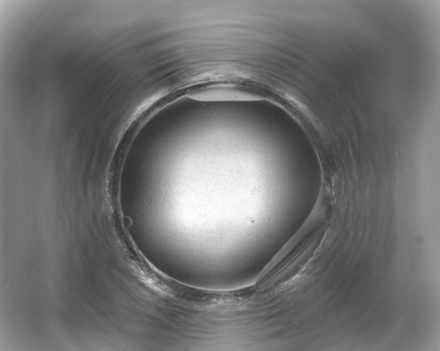 X0000066121026200603131323