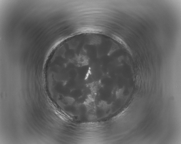 X0000066121027200603131323