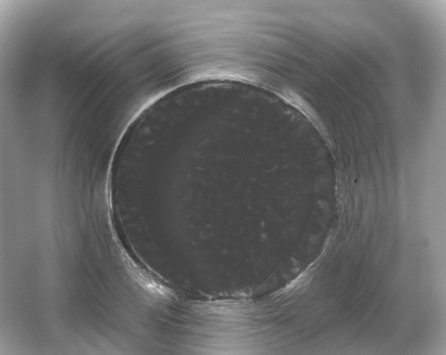 X0000066121028200603131323