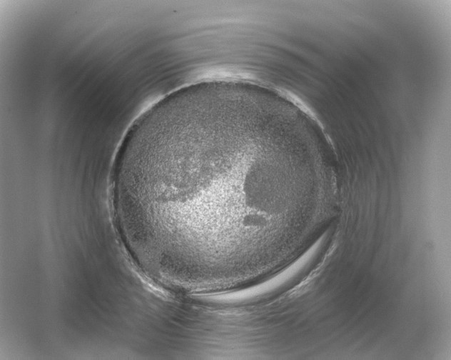 X0000066121029200603131323