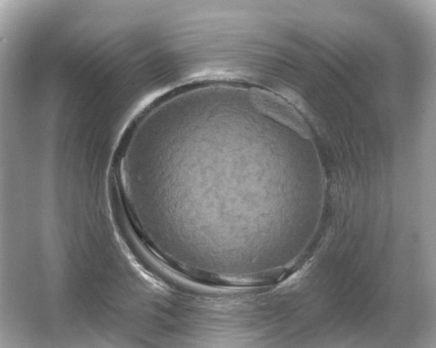 X0000066121030200603131323