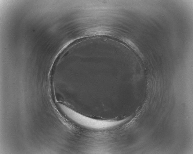 X0000066121031200603131323