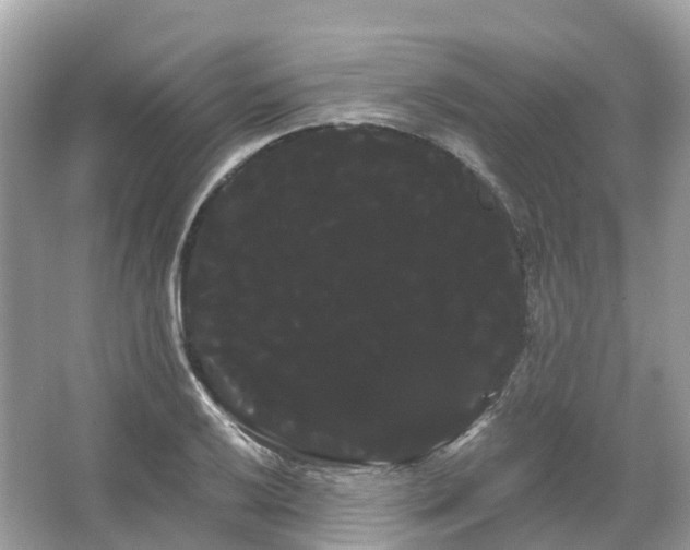 X0000066121032200603131323