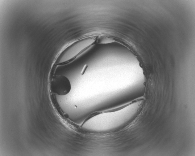 X0000066121034200603131323