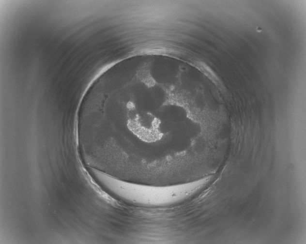 X0000066121036200603131323