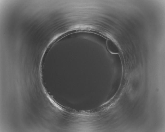 X0000066121037200603131323