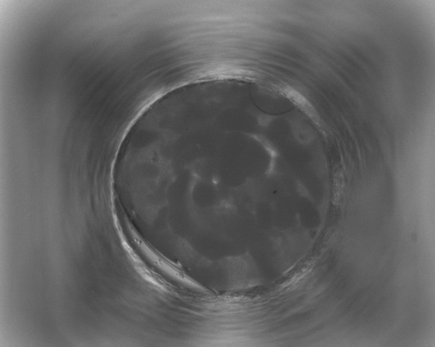 X0000066121039200603131323