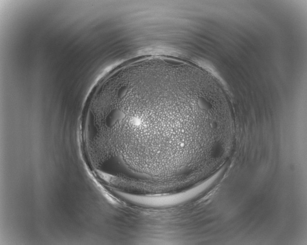 X0000066121040200603131323