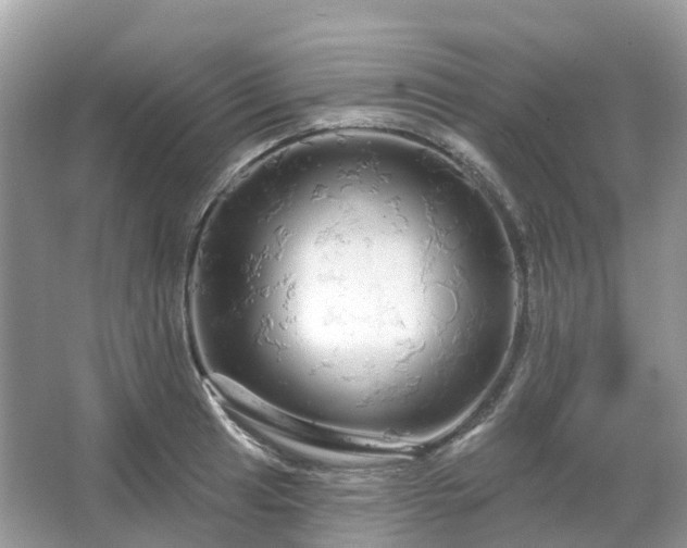 X0000066121041200603131323