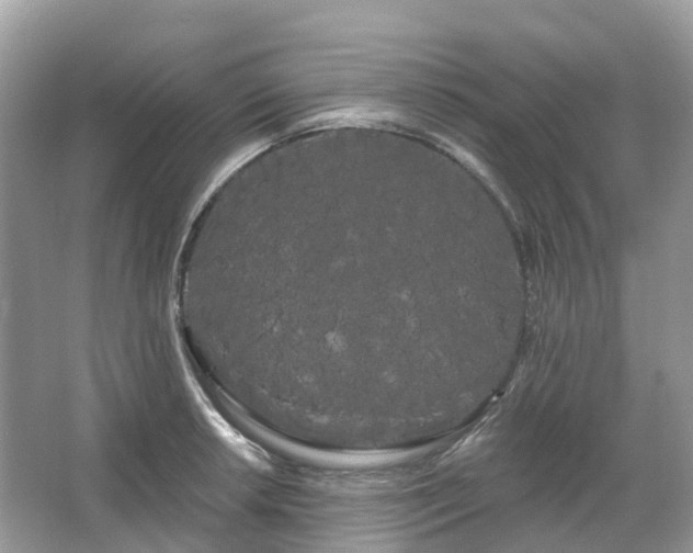 X0000066121042200603131323