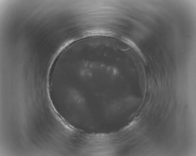 X0000066121043200603131323