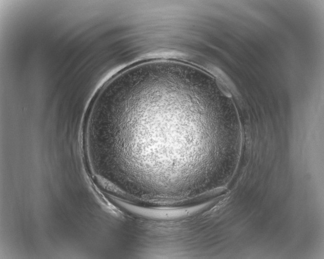 X0000066121044200603131323