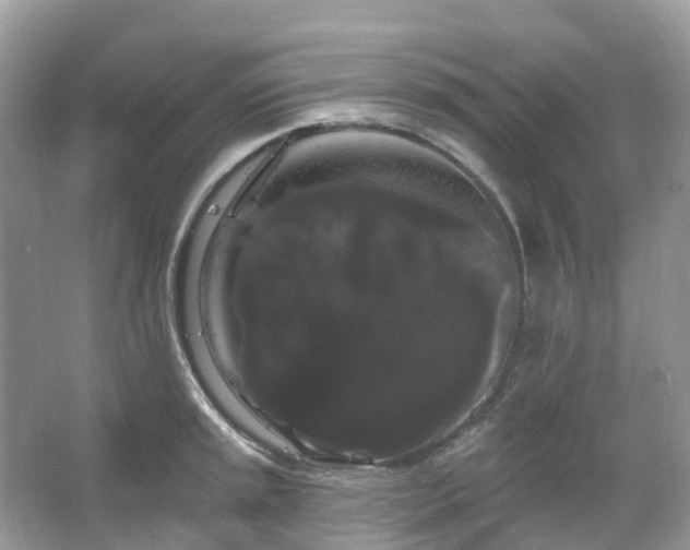 X0000066121045200603131323