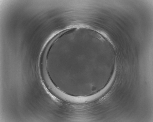 X0000066121046200603131323