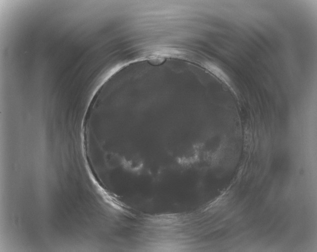 X0000066121047200603131323