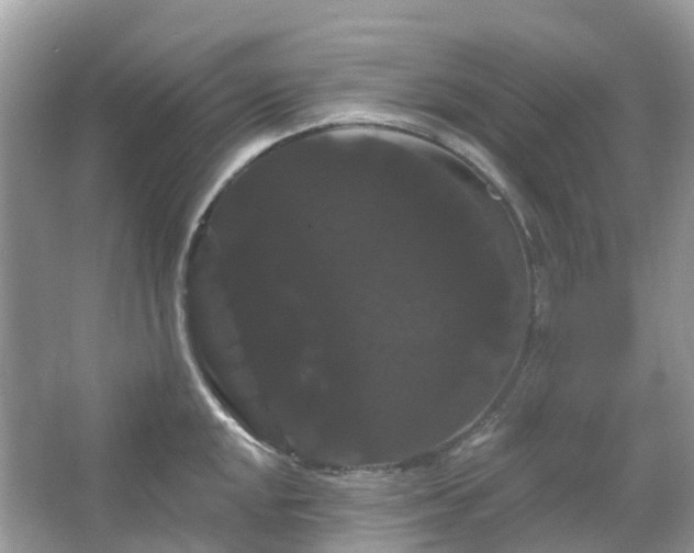 X0000066121048200603131323