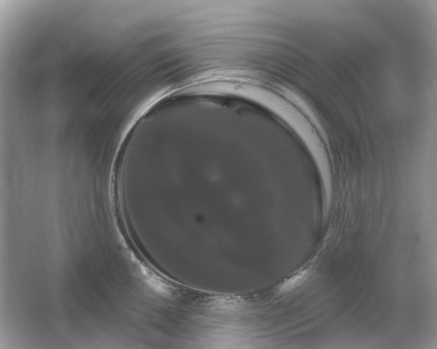 X0000066121050200603131323