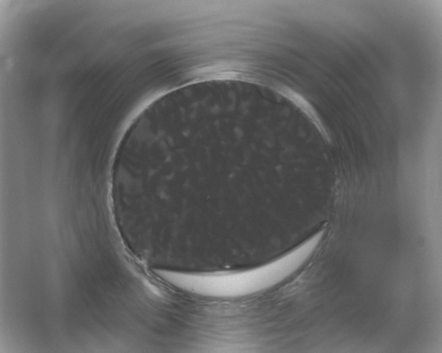 X0000066121051200603131323