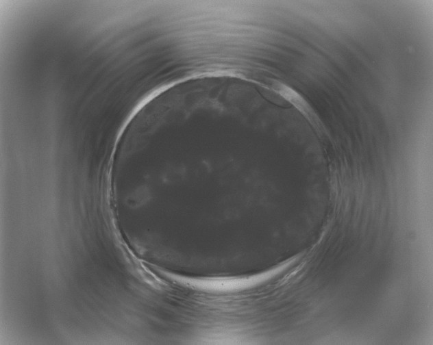 X0000066121052200603131323