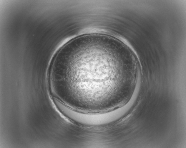 X0000066121053200603131323