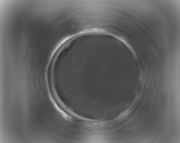 X0000066121054200603131323