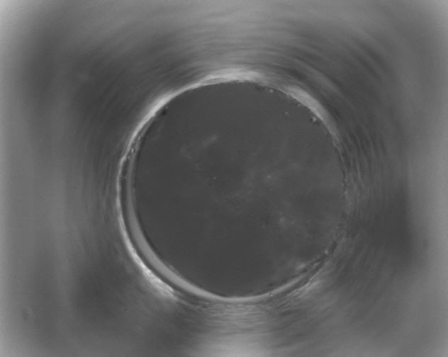 X0000066121055200603131323