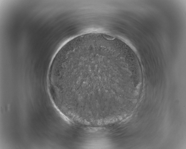 X0000066121056200603131323