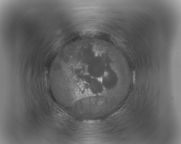 X0000066121059200603131322