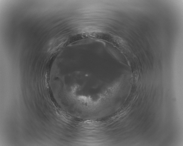 X0000066121060200603131322