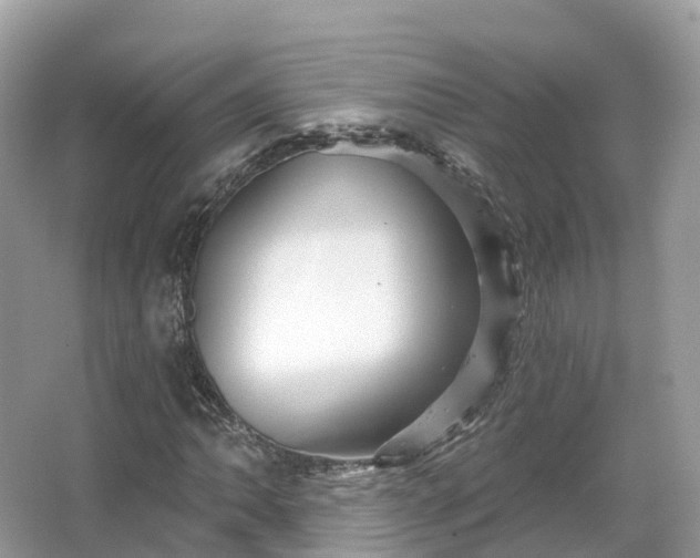 X0000066121062200603131322