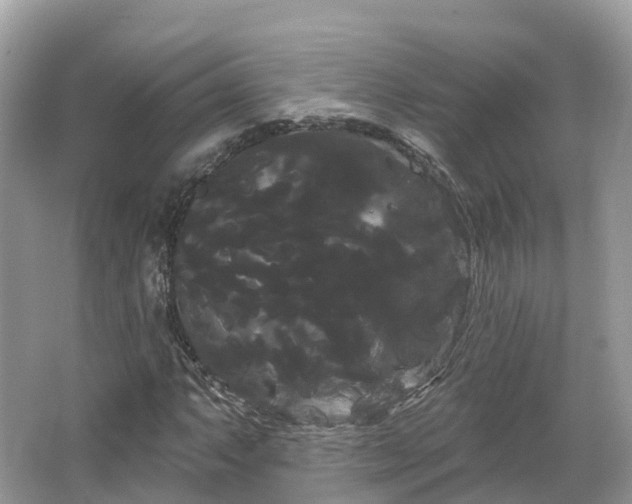 X0000066121063200603131322