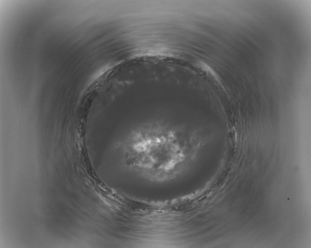 X0000066121064200603131322