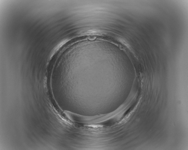 X0000066121066200603131322