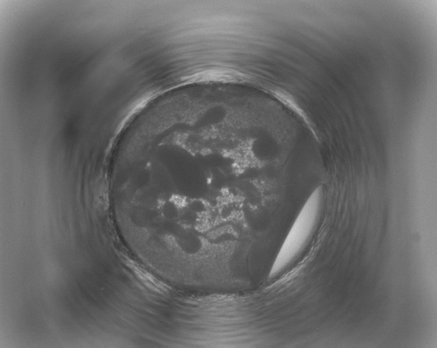 X0000066121067200603131322