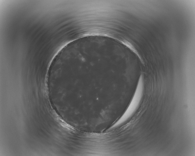 X0000066121068200603131322