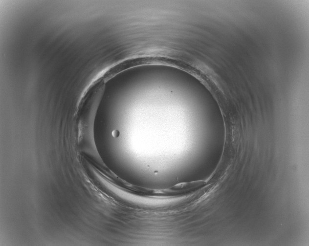 X0000066121069200603131322