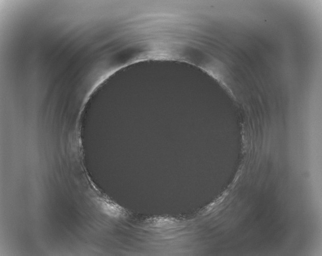 X0000066121070200603131322