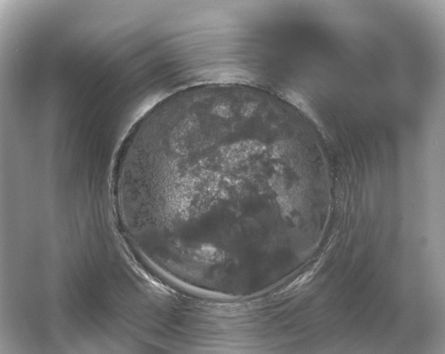 X0000066121071200603131322