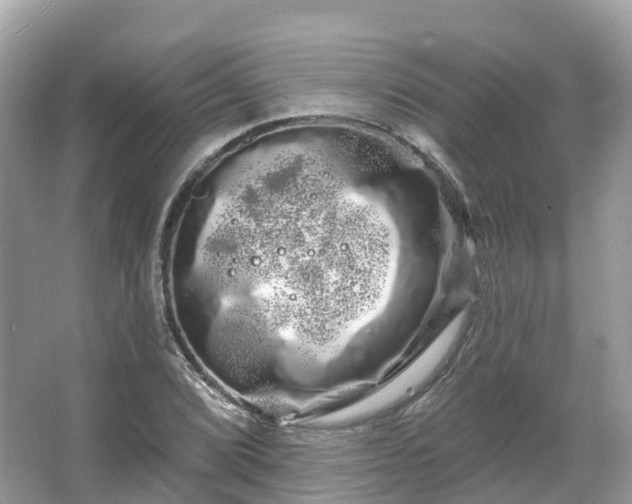 X0000066121072200603131322