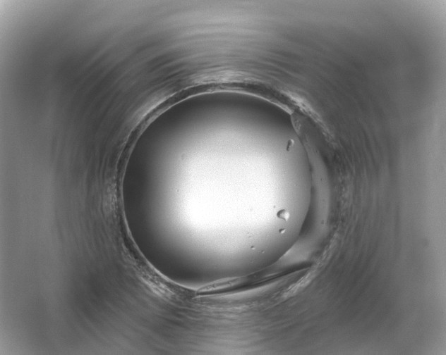 X0000066121073200603131322