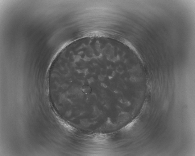 X0000066121075200603131322