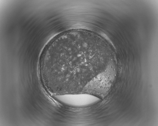 X0000066121076200603131322